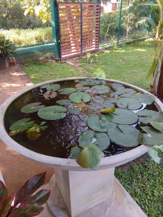 הוילה פולונרואה Waterway Garden מראה חיצוני תמונה