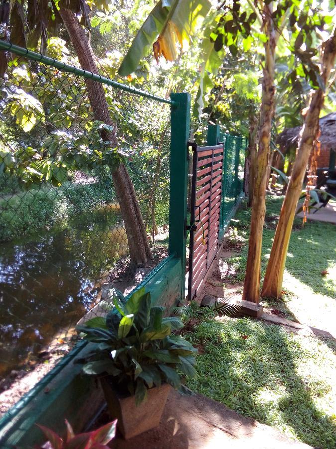 הוילה פולונרואה Waterway Garden מראה חיצוני תמונה