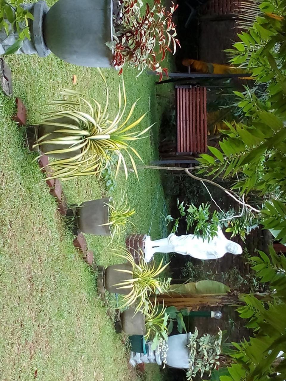 הוילה פולונרואה Waterway Garden מראה חיצוני תמונה